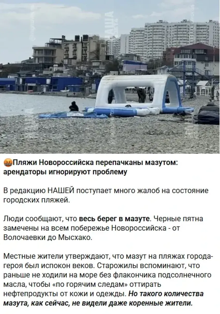 Пляжи Новороссийска в мазуте - не верьте: управление курортов опровергает