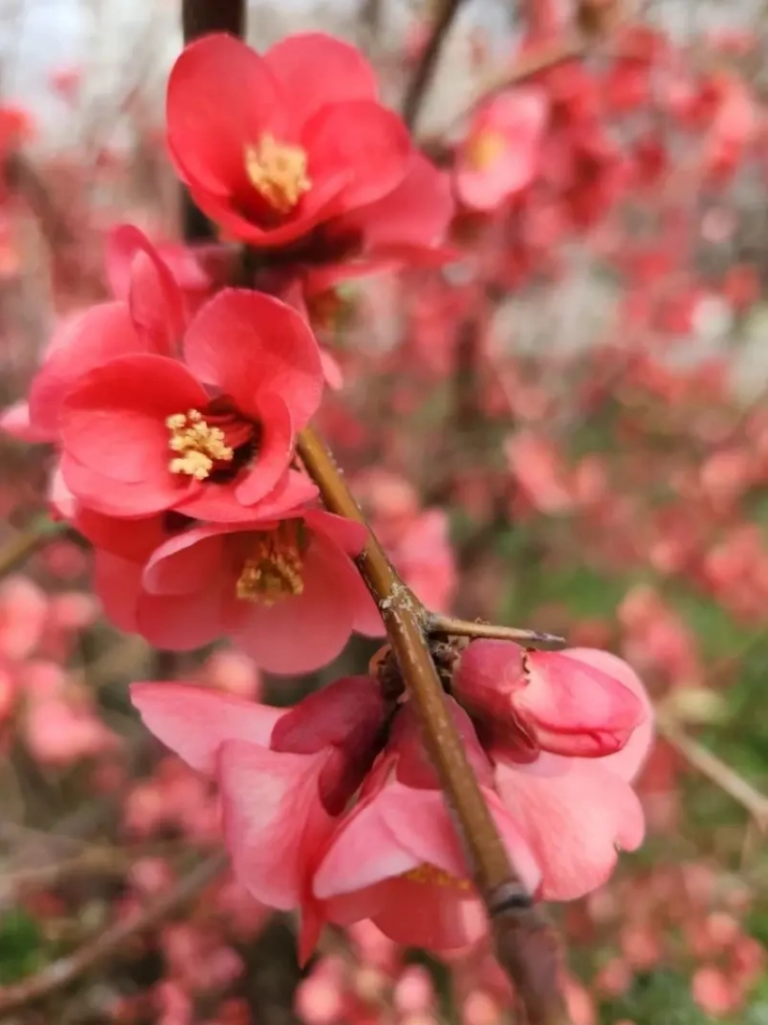 Весеннее равноденствие пройдет в Новороссийске без солнца