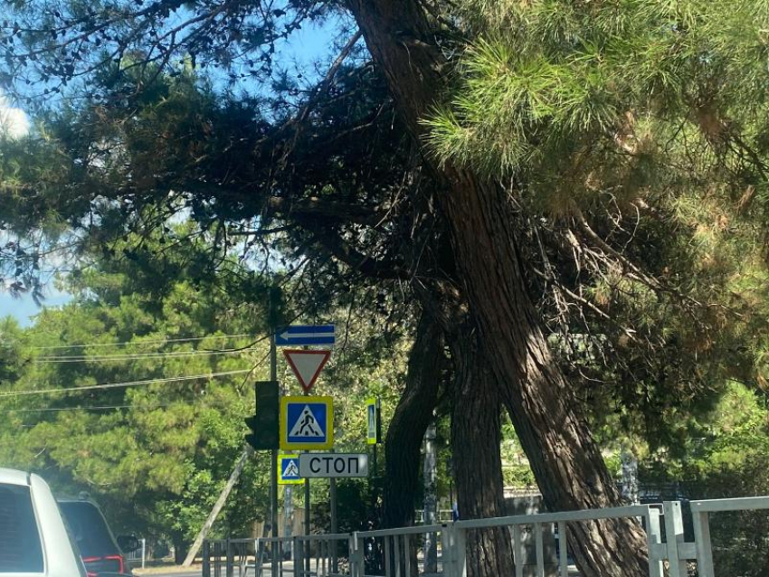 Нет света и светофоры не работают в Новороссийске