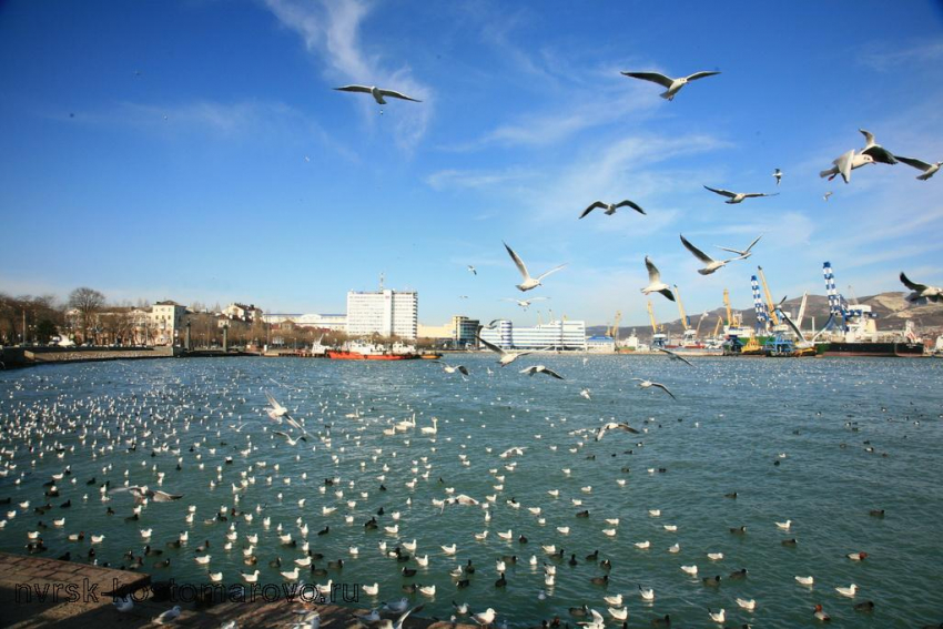 В Новороссийске будет тепло и солнечно 