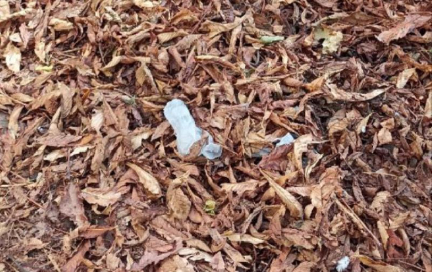 "Здесь должно быть все стерильно": новороссийцы возмущены состоянием территории возле поликлиники