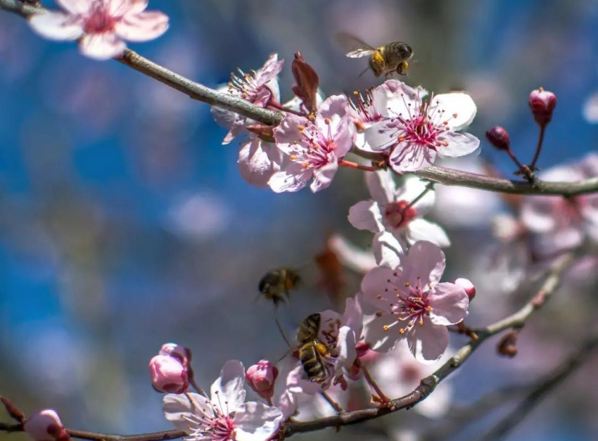 Новороссийцев ждёт солнечное утро и дождливая ночь