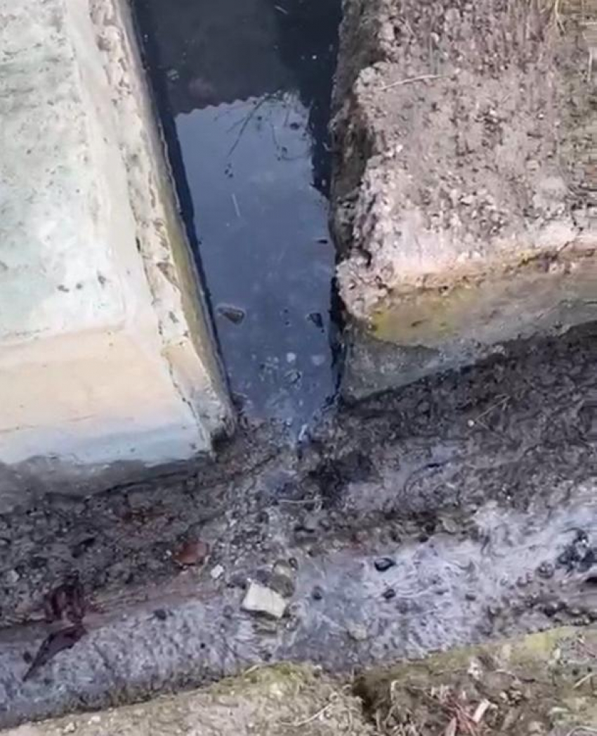 "Стоит ужасный запах": новороссиец жалуется на канализацию около дома