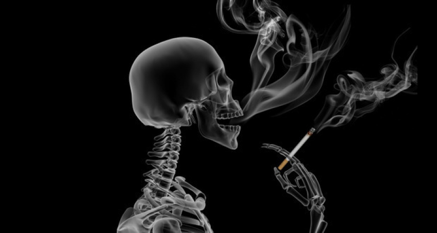 Пачки сигарет стали ещё страшнее и появятся в продаже в Новороссийске