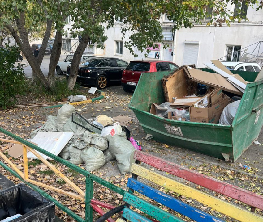 Так жить нельзя: жительница Новороссийска возмущена замусоренной территорией двора