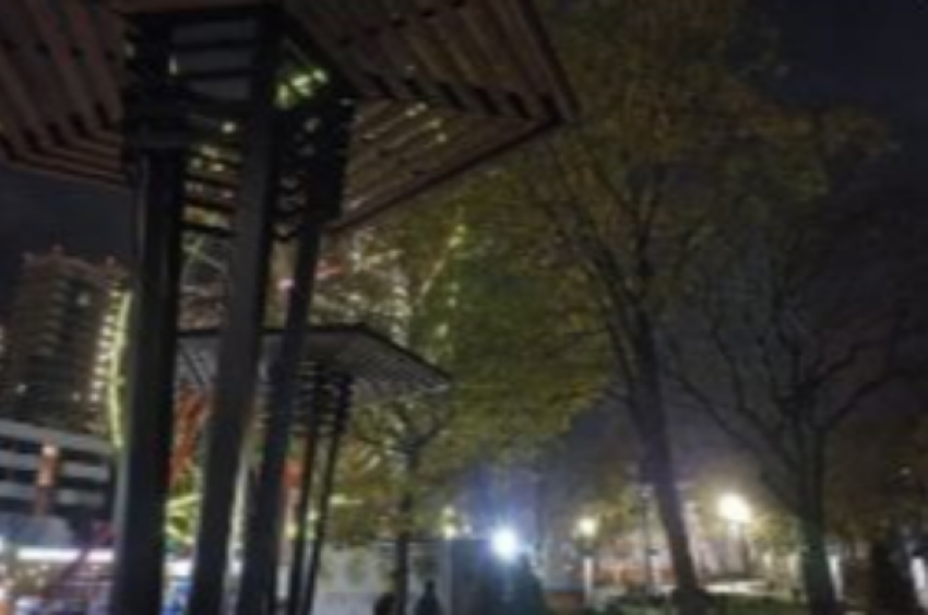 «Просто днище»: новороссийцы недовольны отсутствием освещения в парке Фрунзе и не только