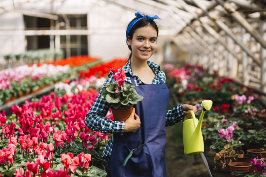 Садовника, маркетолога и инженера ищут в Новороссийске работодатели