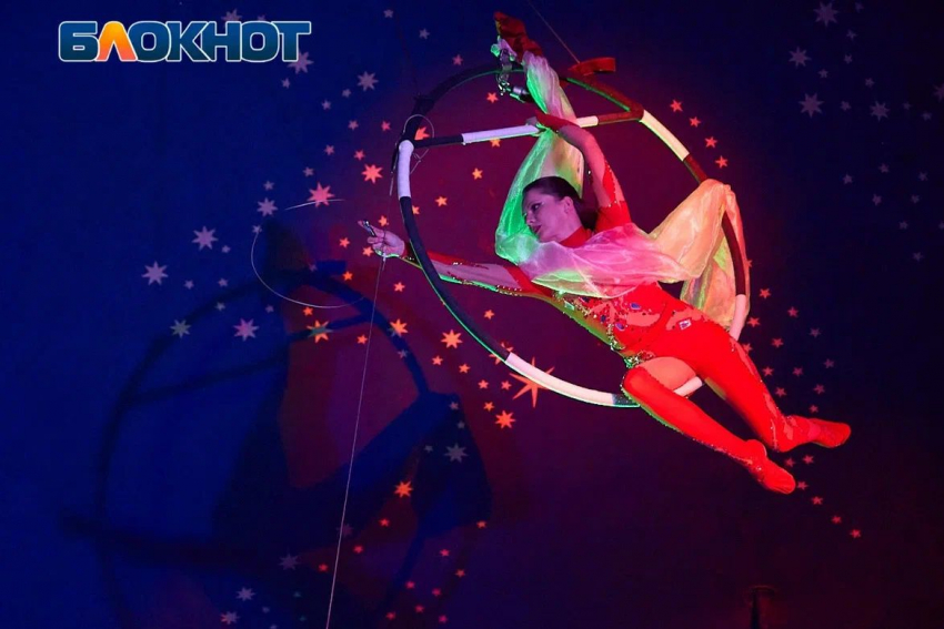 Волшебный мир цирка шапито «Карнавал» ждёт в Новороссийске