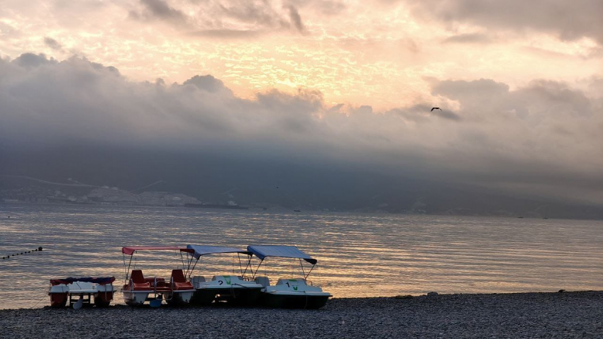 Гороскоп от «Блокнота»: Львам не поддаваться негативным мыслям, а Скорпионам не принимать поспешных решений