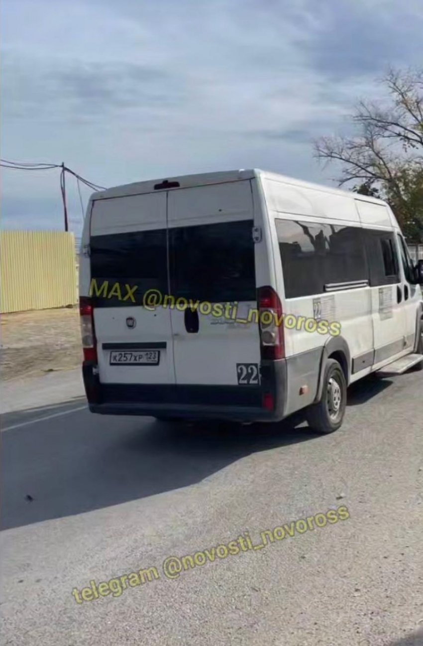 Водитель маршрутки в Новороссийске устроил «кулачные разборки» с пешеходом