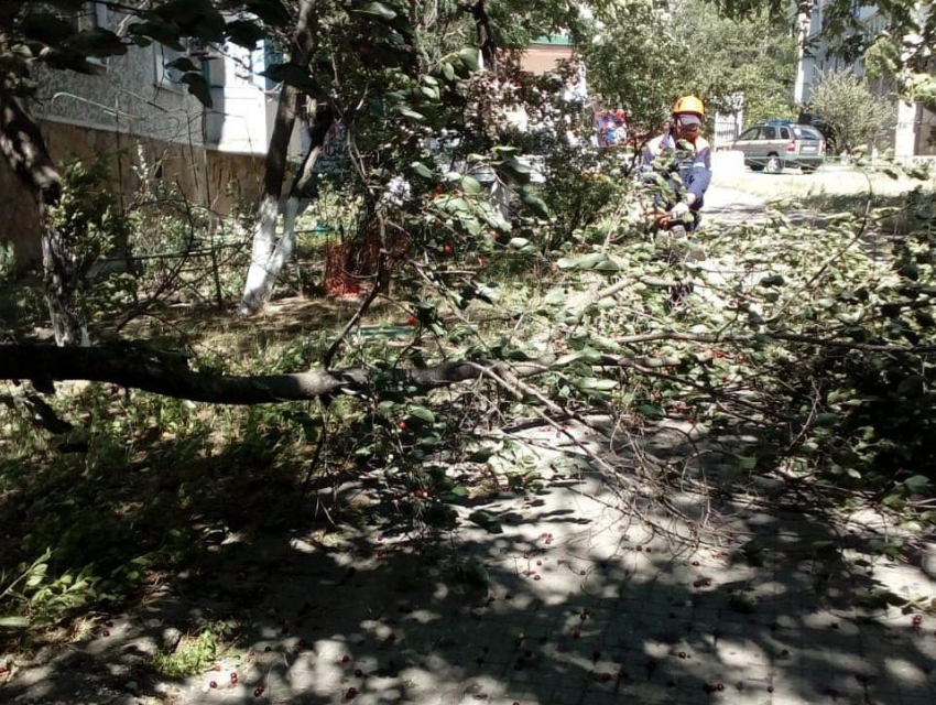 Поваленные деревья и чудом целая машина: в Новороссийске задул ураганный ветер
