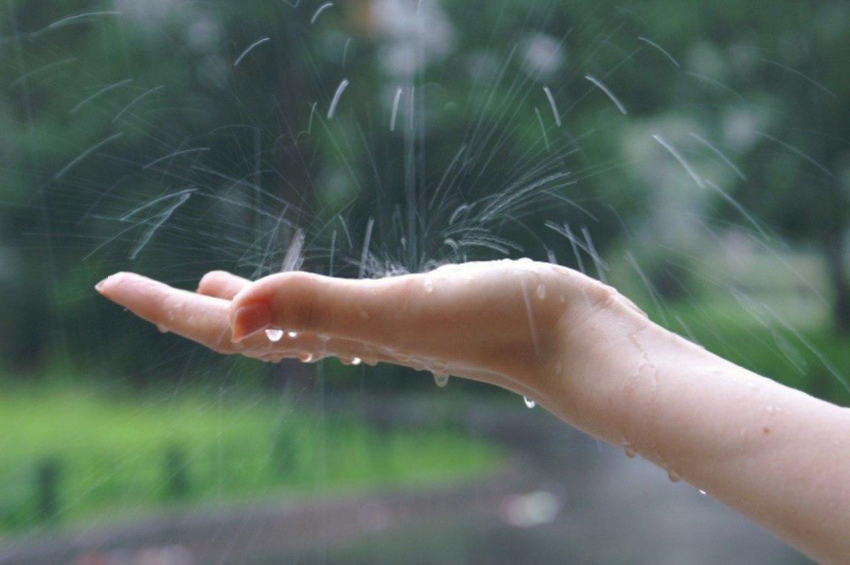 Легкий дождь ожидает Новороссийск сегодня вечером