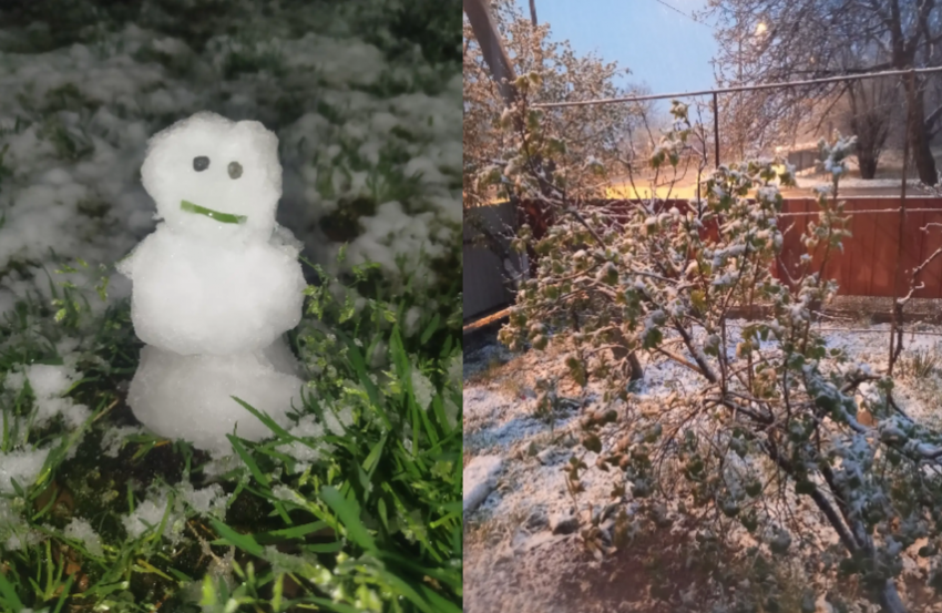 Снег идет на юге России: засыпало Геленджик и Краснодар, чем весна удивляет Новороссийск