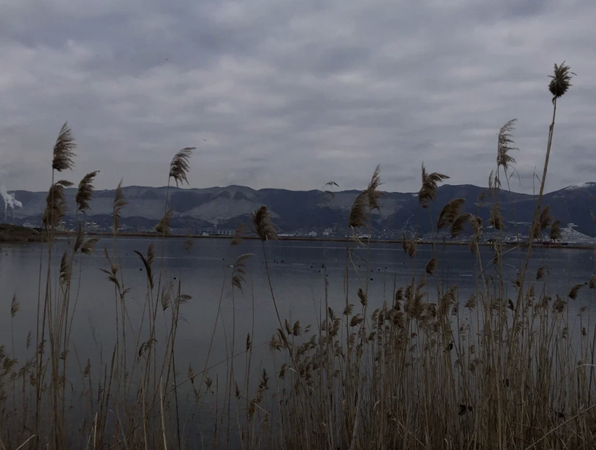 Погода в Новороссийске: пасмурно, возможен дождь