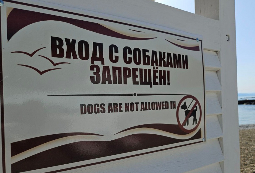 Гороскоп от «Блокнота»: Девам не избежать конфликтов, а Близнецам приготовиться к переменам