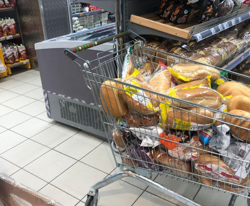 В новороссийском супермаркете возят хлеб и собак в одних тележках 