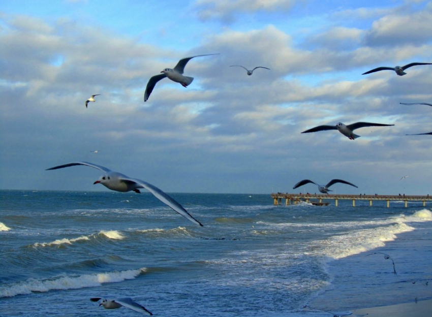 Погода без изменений: суббота в Новороссийске выдастся солнечной и прохладной