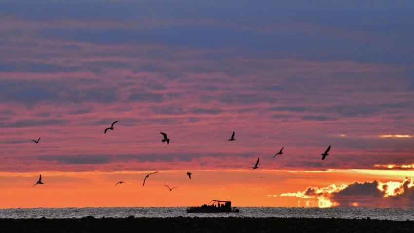В Чёрном море утонуло вооружение ВСУ: подлодки Новороссийска в зоне особого внимания