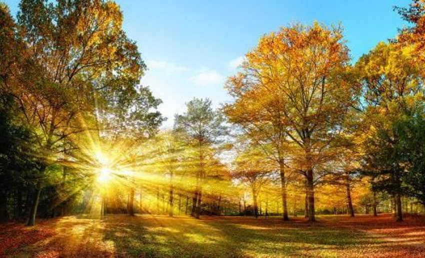 Воскресенье подарит новороссийцам тепло