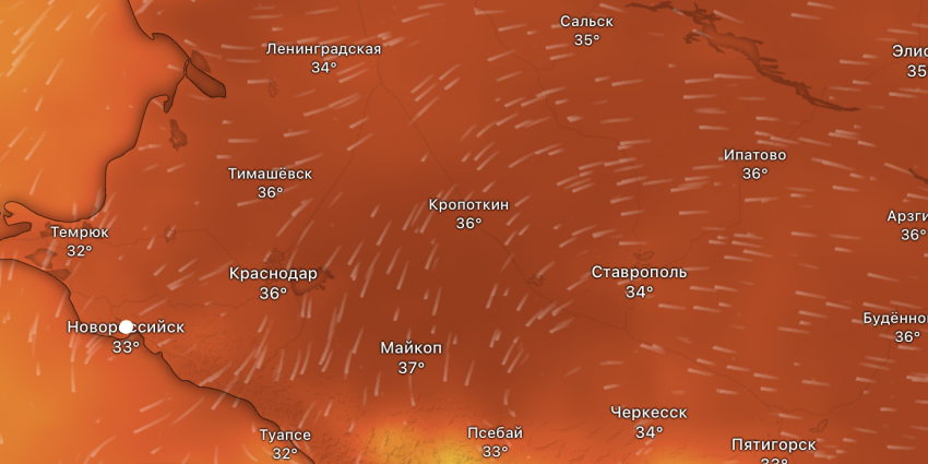 Пожароопасность и +37 градусов — когда новороссийцам снова ждать жары