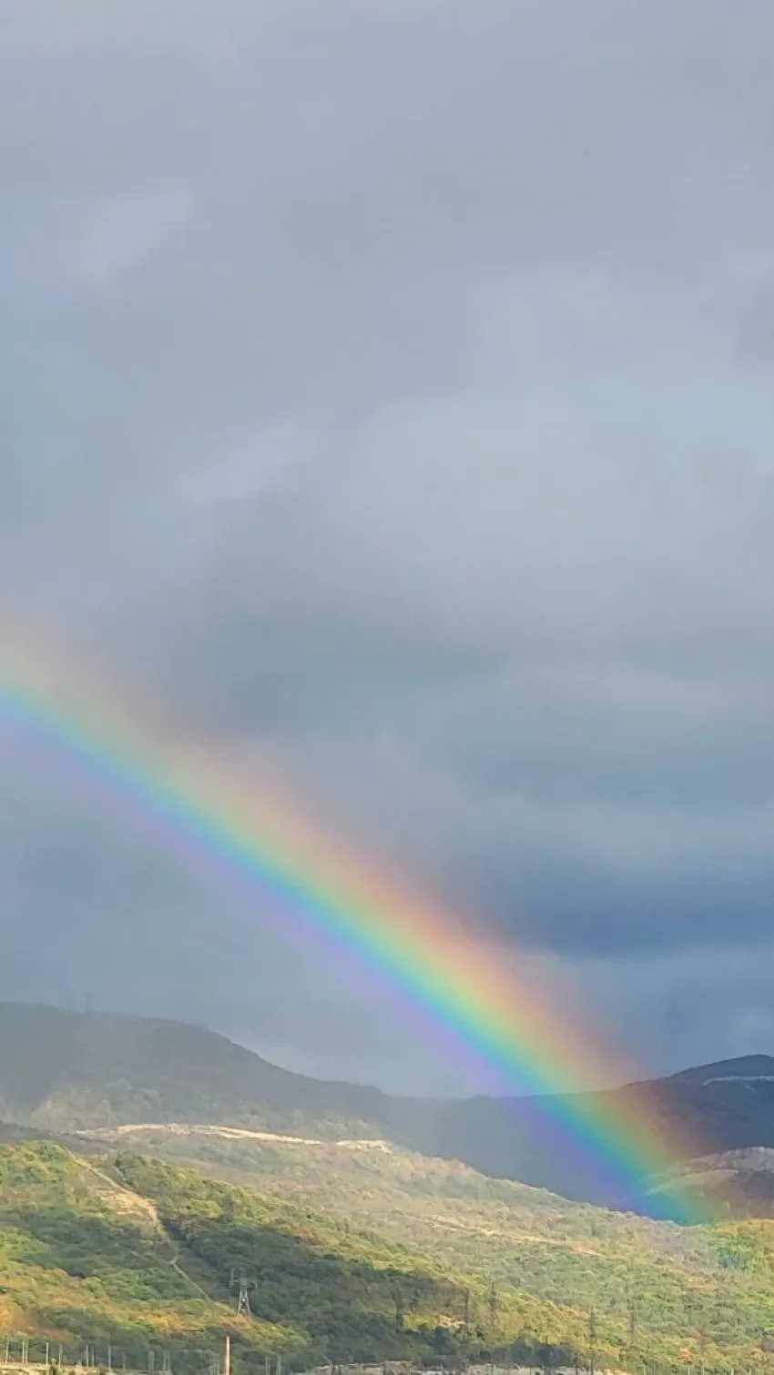 Стабильно пасмурно: весна в Новороссийске затаила дыхание