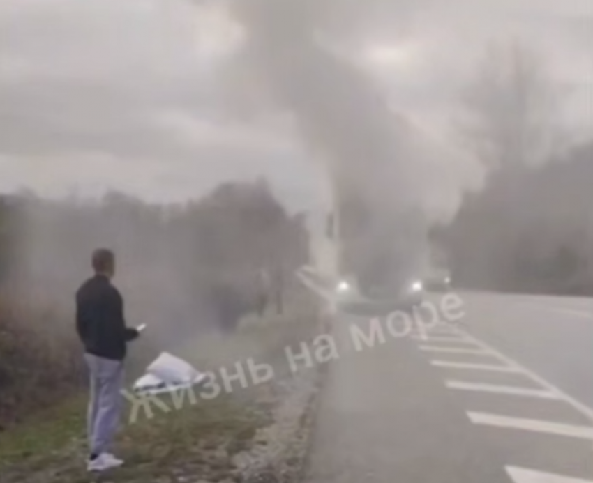 На трассе горит большегруз, а неизвестный насмерть сбил оленя в Краснодарском крае