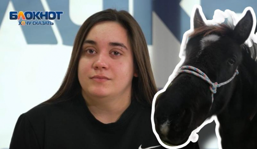 "Украли, вывезли в лес...": девушка из Новороссийска год ищет свою лошадь