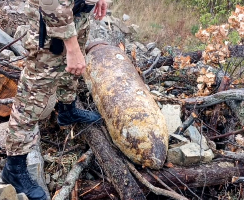 В лесу вдоль трассы М-4 «Дон» нашли бомбу: ее взорвут под Новороссийском 