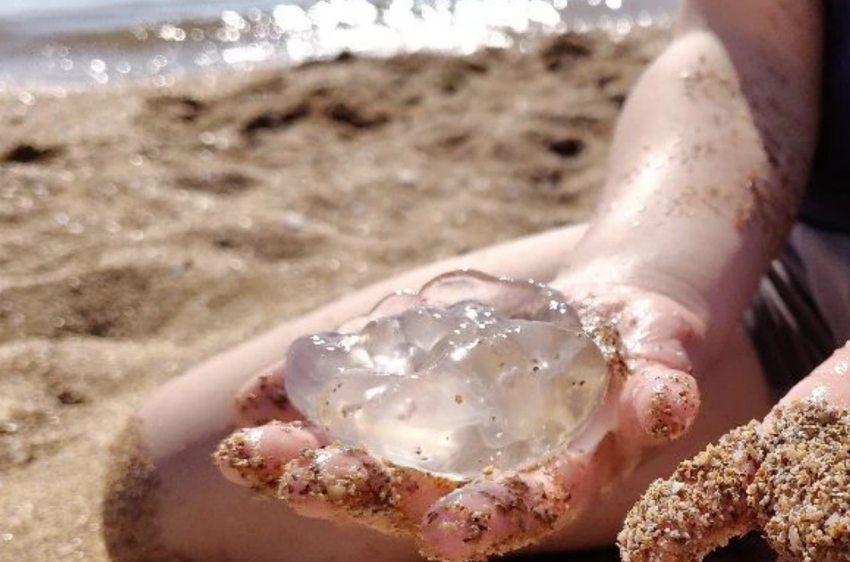Пляжи в осаде, вода - желе: медузы атакуют Черное и Азовское моря