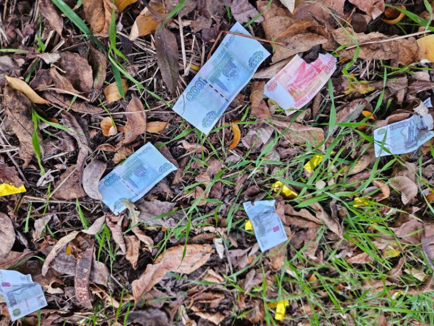 Подозрительные суммы и переводы: что настораживает банки и подталкивает к блокировке карт