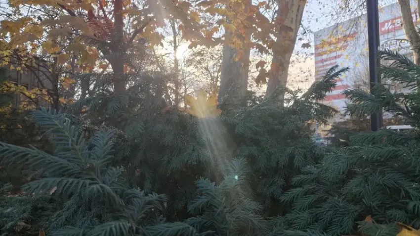 Январское тепло и облачность: погода в Новороссийске