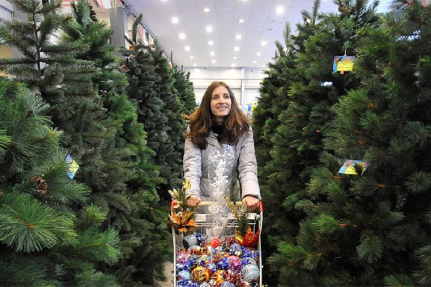 Спрос снизился на 30%: все больше россиян выбирают для праздника искусственные елки