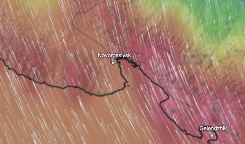 Погода в Новороссийске: сильный ветер при +10