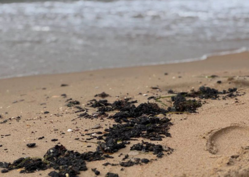 Пляжи в Анапе открывать нельзя: глава Роспотребнадзора сделала прогноз на сезон 2026 года