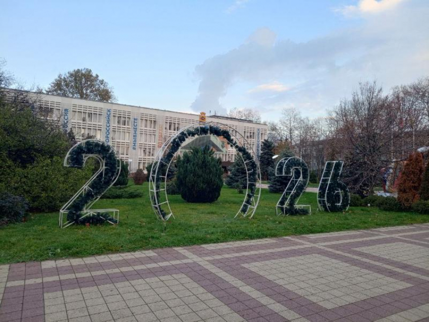 Стало известно, когда в Новороссийске поставят главную городскую елку