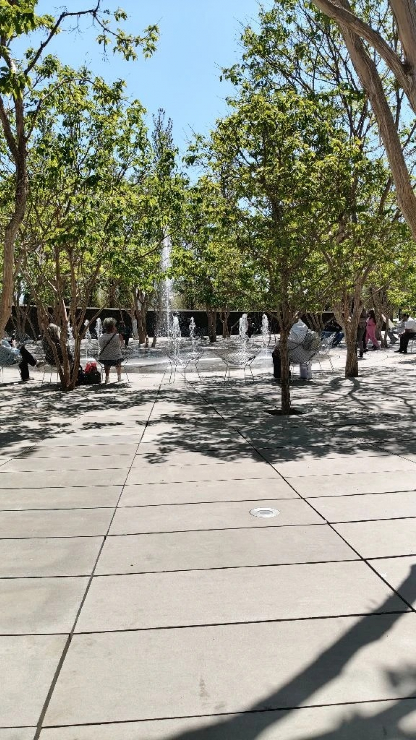 Вход закрыт: в пяти парках Новороссийска проведут обработку от клещей и комаров с 28 апреля