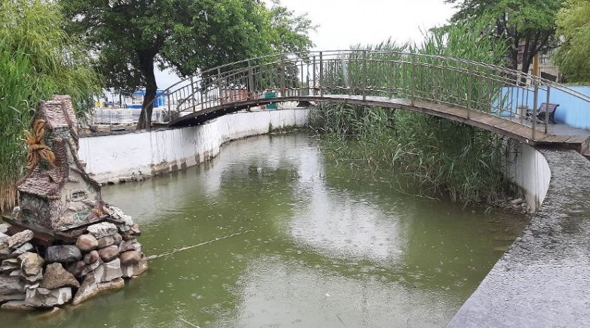 Власти Новороссийска обратили внимание на пруд в парке Фрунзе 