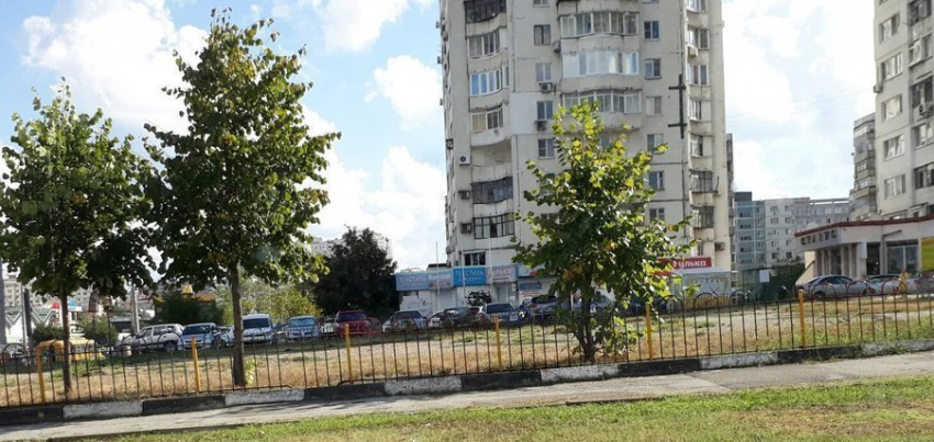 Успеет ли депутат Ярышев за три дня детскую площадку восстановить?