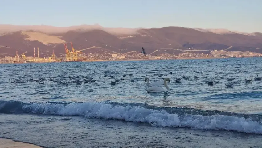 Зима вернулась в Новороссийск: в городе холодно и ветрено