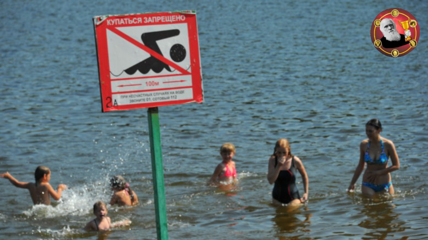 На пляжах «Мысхако» и «Нептун» запретили купание