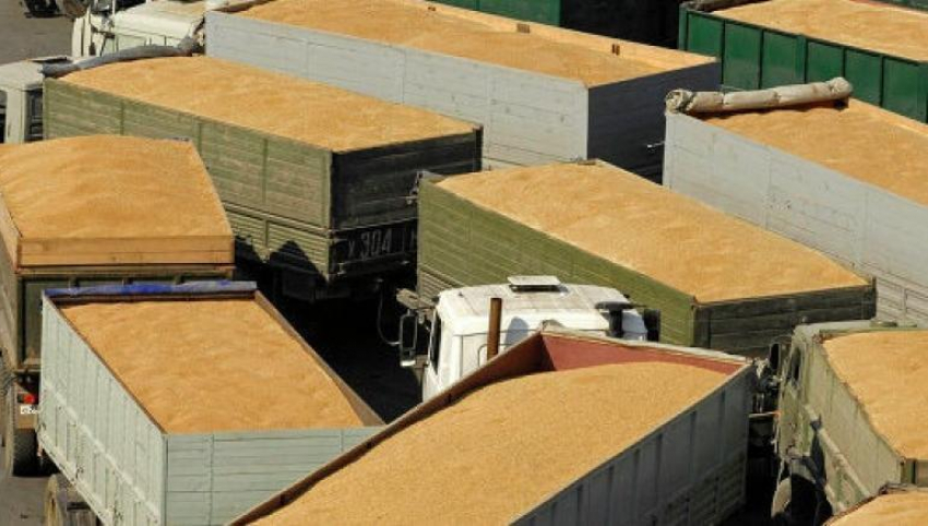 Россельхознадзор устроил экспортерам зерна коллапс в Новороссийске