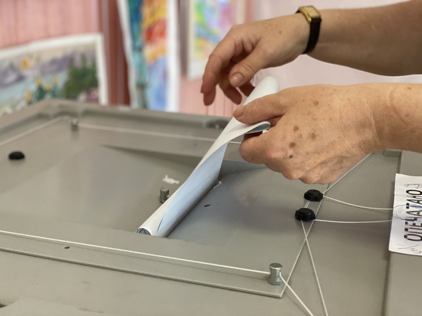 В поисках экшена: как в Новороссийске проходит второй день голосования