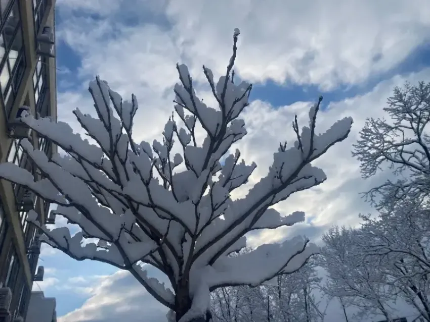 Погода в Новороссийске: ветер стихнет и потеплеет 