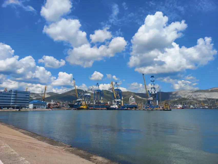 Мошенник из Санкт-Петербурга ввёз через Новороссийск автомобили из США, но кое-что забыл