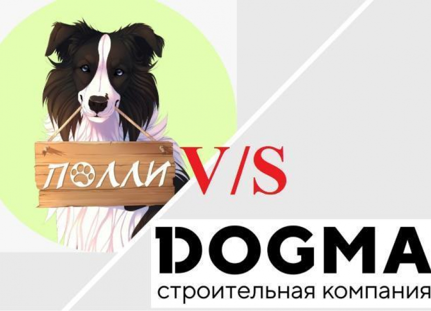 Застройщик в Новороссийске заботится о внешнем виде города за счет собачников 