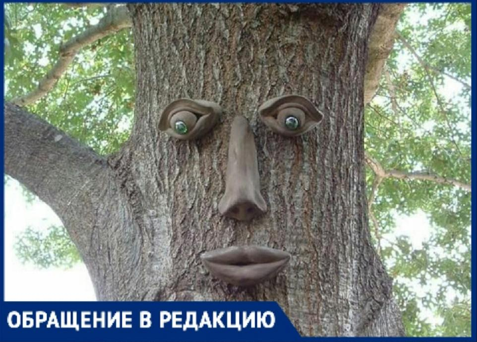 В Новороссийске могут появиться живые деревья с лицами