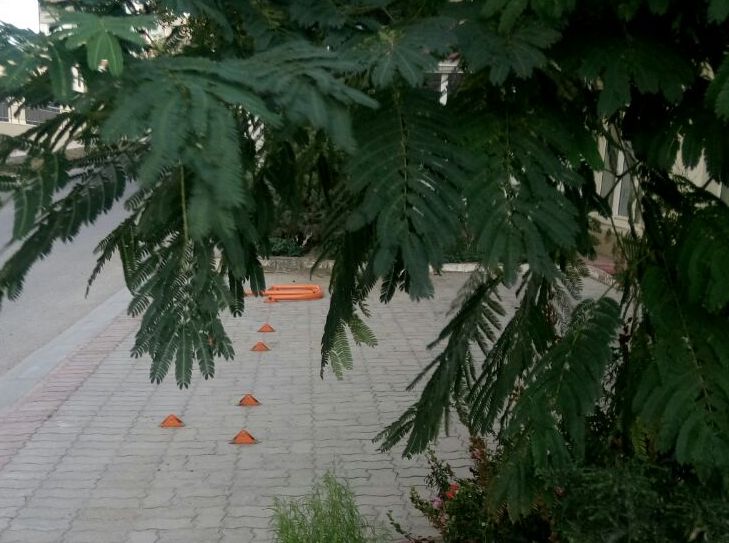парковочники.jpeg