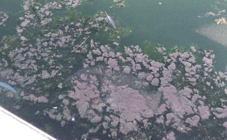 море2.jpg море2.jpg