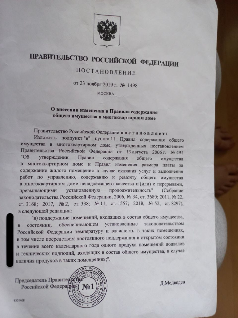 Замурованные бездомные животные — что не так с закрытыми продухами в Новороссийске