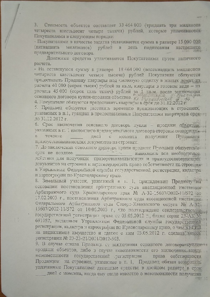 дог2.jpeg